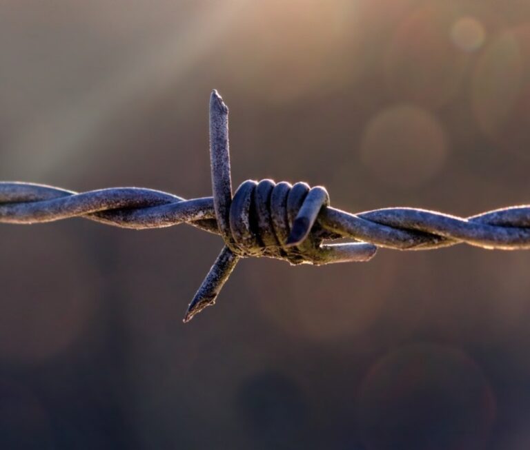 barbed-wire